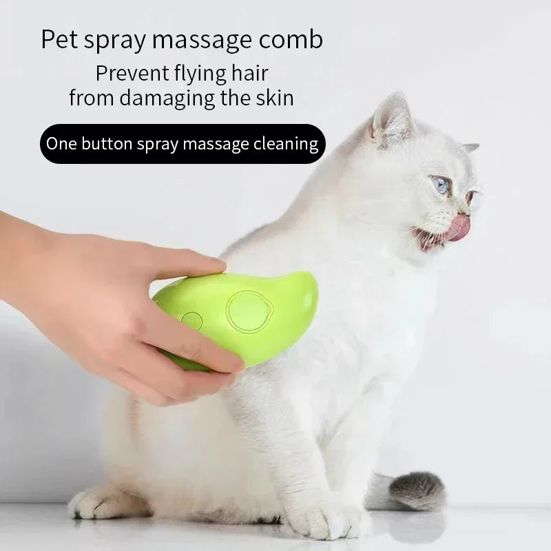 Pet Electric Spray Massage Comb