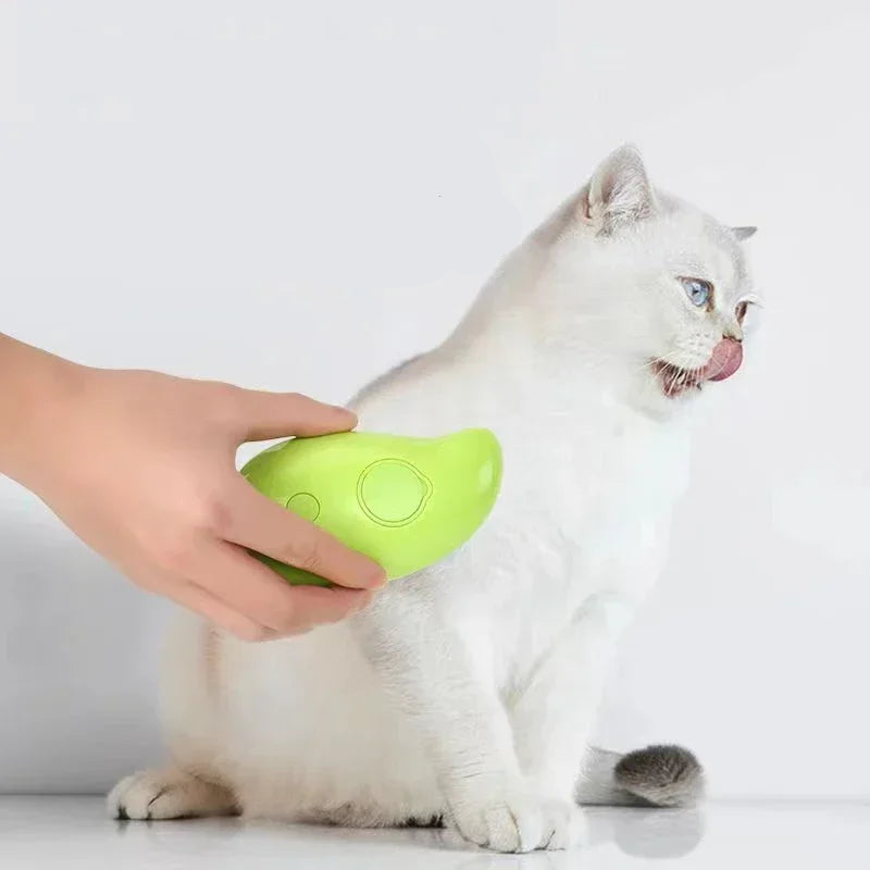 Pet Electric Spray Massage Comb